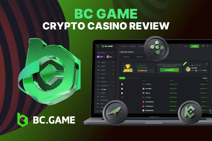 Experience the Thrill of Gambling with BC.Game UAE App